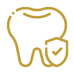 Atuação reconhecida em Fortaleza e região